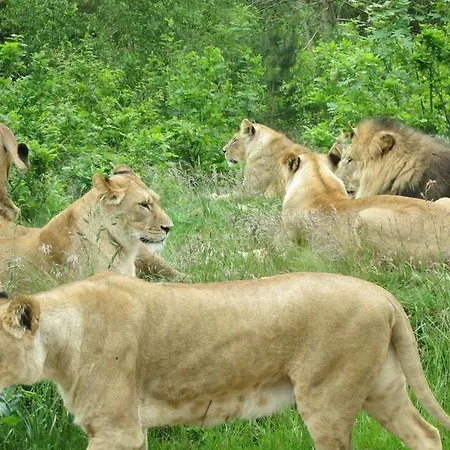 Zoo Hostel *
