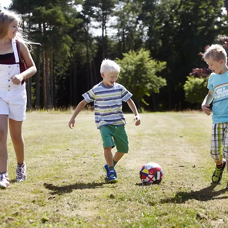 Хостел Zoo Givskud