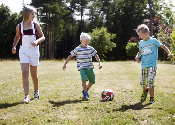 Хостел Zoo Givskud